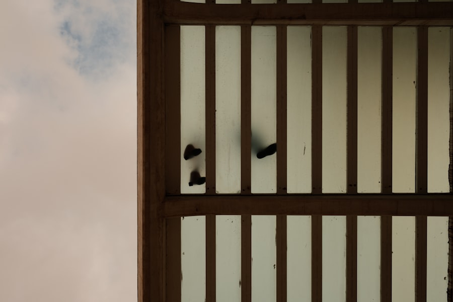 saddam hussein execution