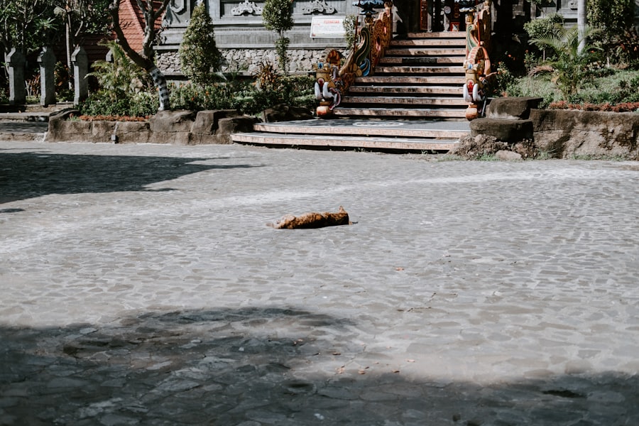 saddam hussein execution stream