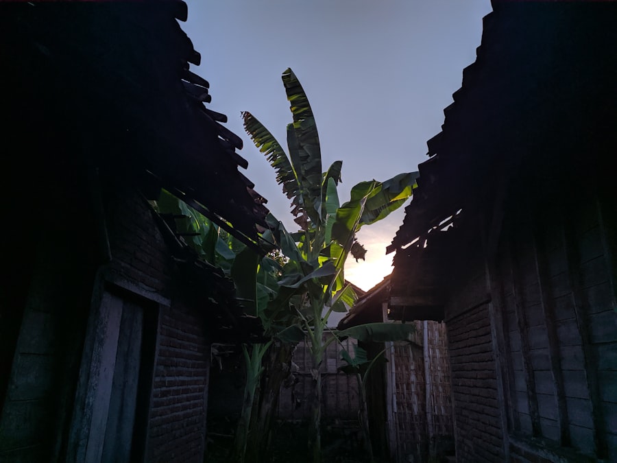 saddam hussein capture photo