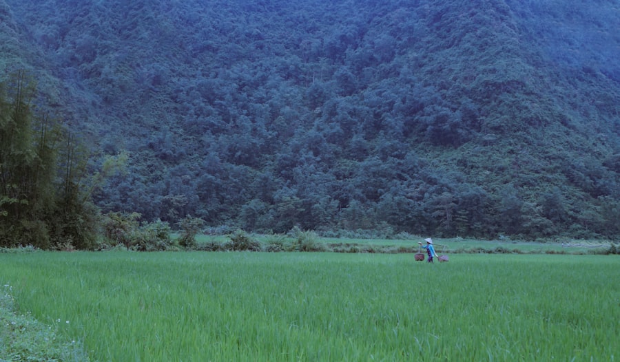 movie capture saddam hussein