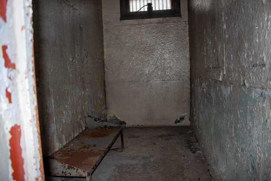 saddam hussein execution sentence