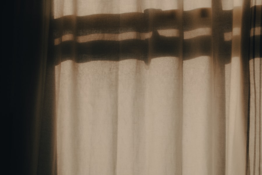 saddam hussein capture pic