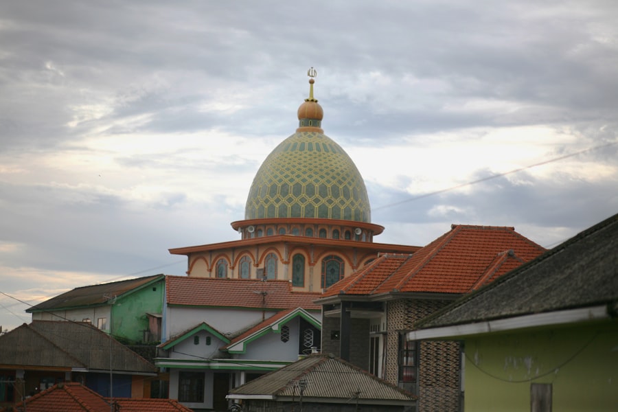 saddam hussein capture photos