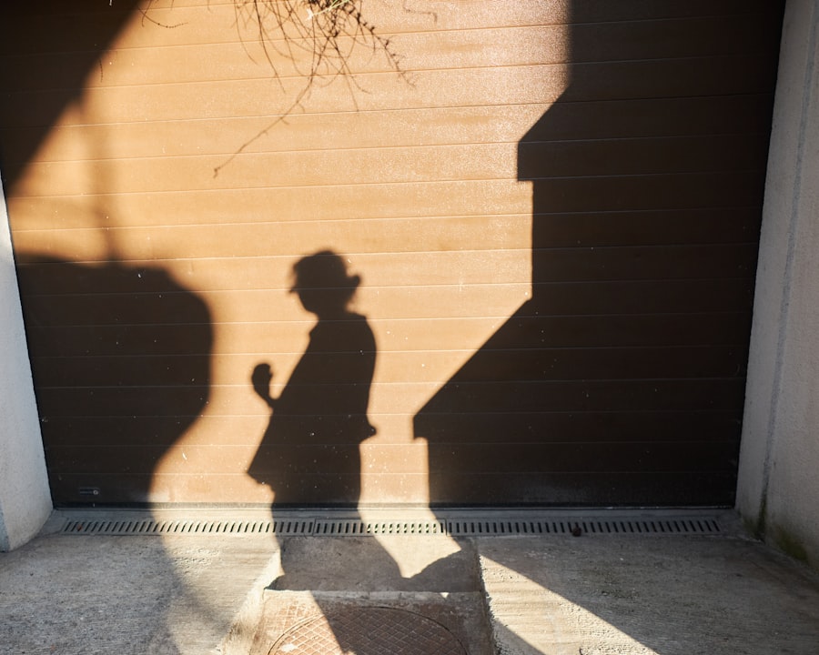 shadow banking system