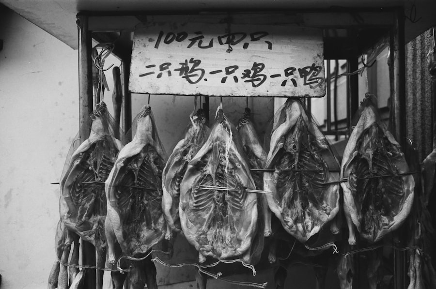 meat inspection act 1906