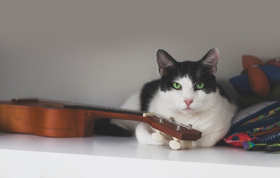 Acoustic Kitty