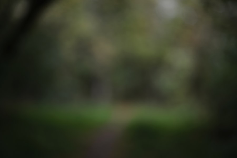 phthalates banned EU