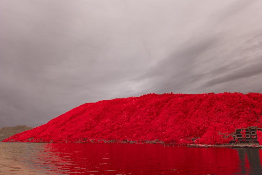 red 40 banned Europe