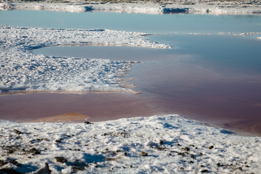 greenland ice sheet contamination