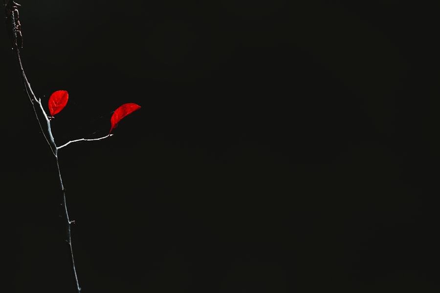 Saddam Hussein, attack, why