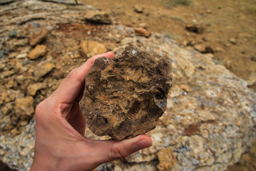 Photo geological evidence