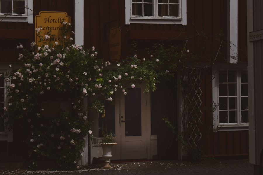 Photo saddam hussein