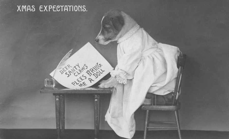 Photo penicillin production scale up