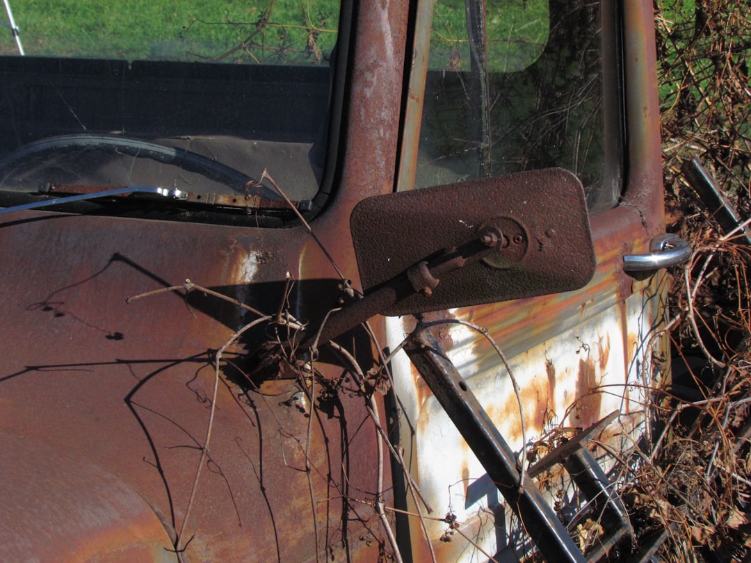 Photo willys jeep
