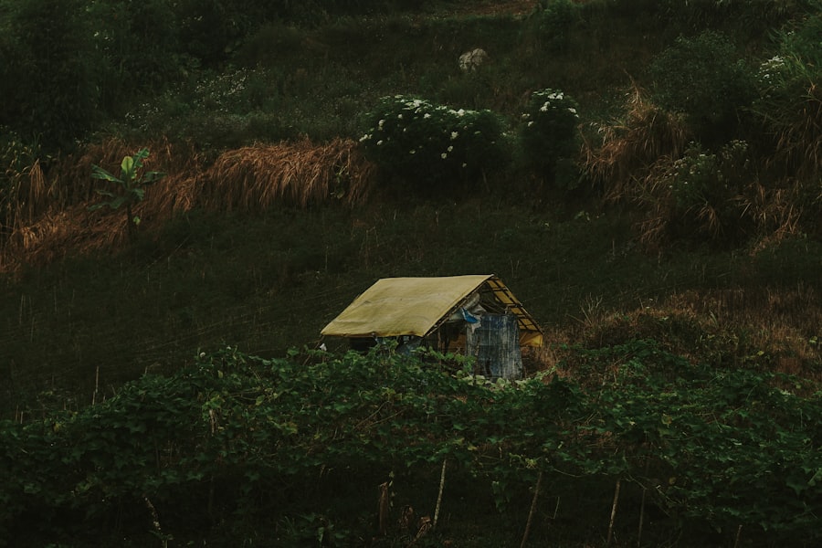 Photo saddam hussein, marshes