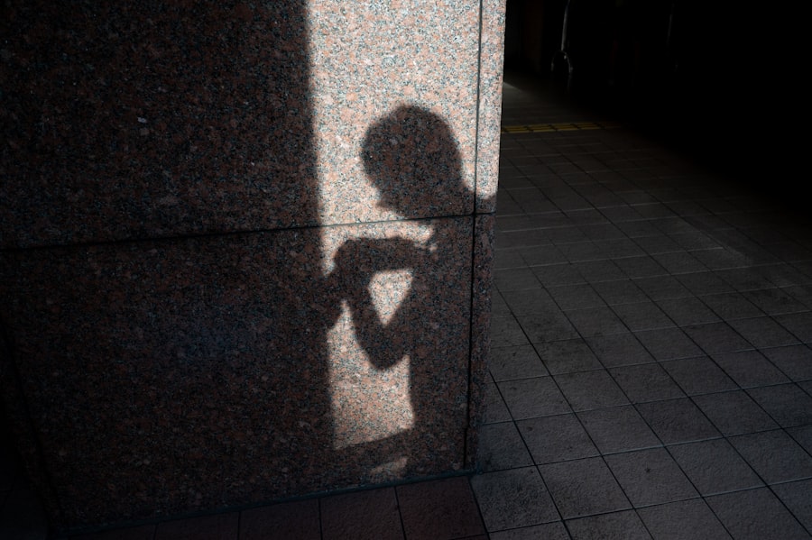 Photo shadow banking system