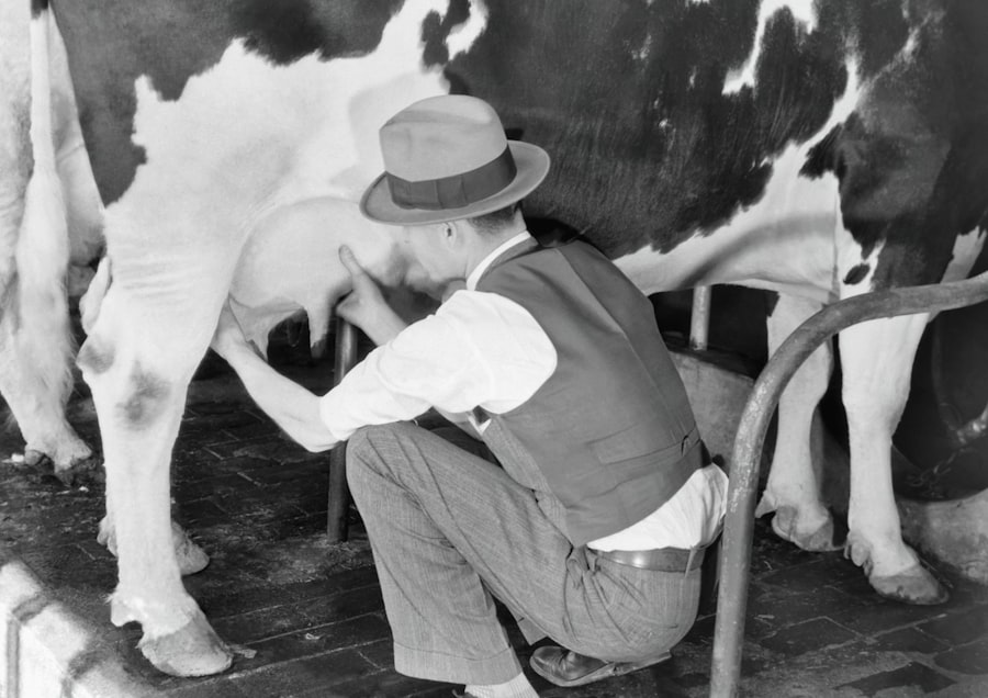 Photo meat inspection act 1906