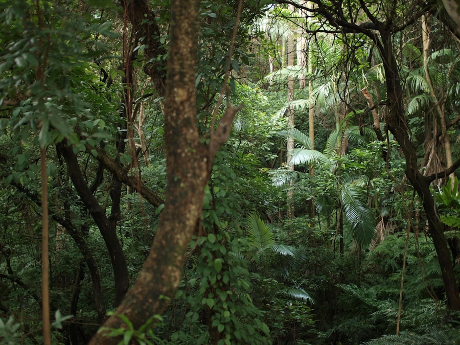 Photo jungle upton sinclair summary