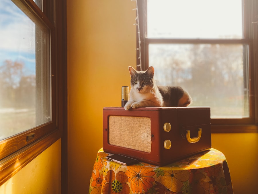 Photo Acoustic Kitty fail