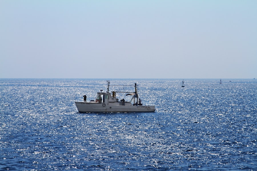 Photo Navy marine mammal program