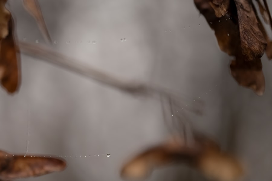 Photo phthalates banned EU