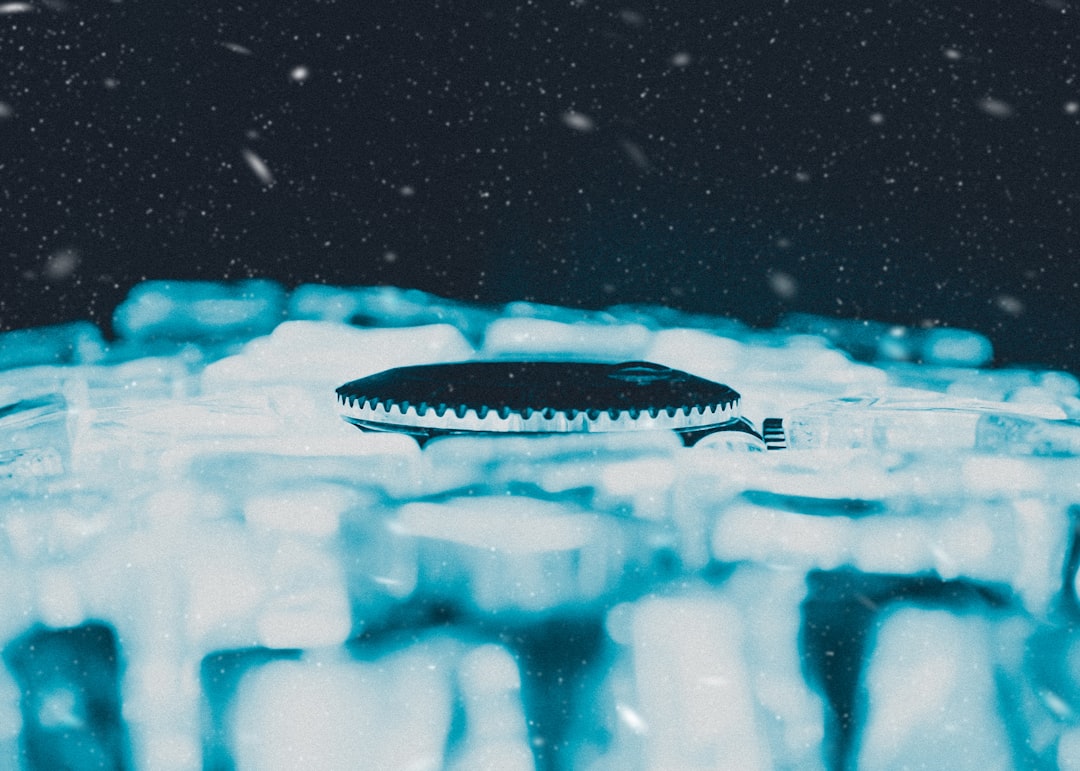 Photo project iceworm fail