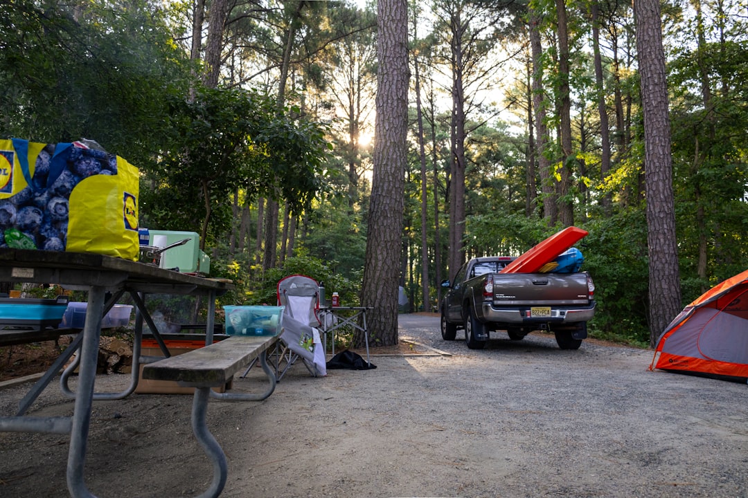 Photo camp century cleanup