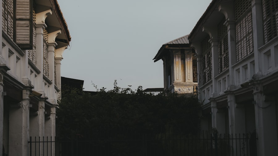 Photo saddam hussein