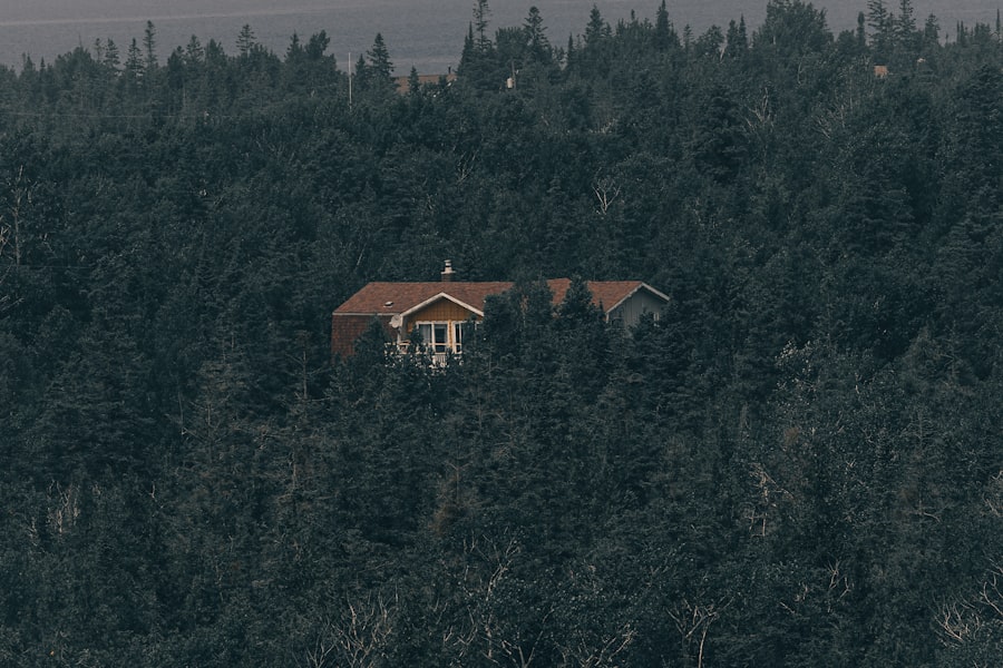 Photo saddam hussein