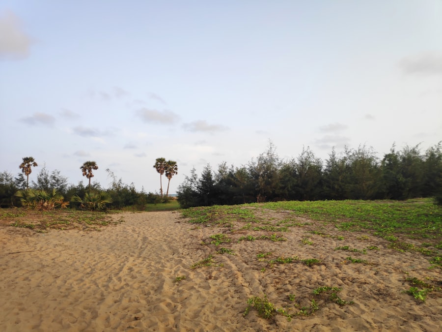 Photo saddam hussein capture location