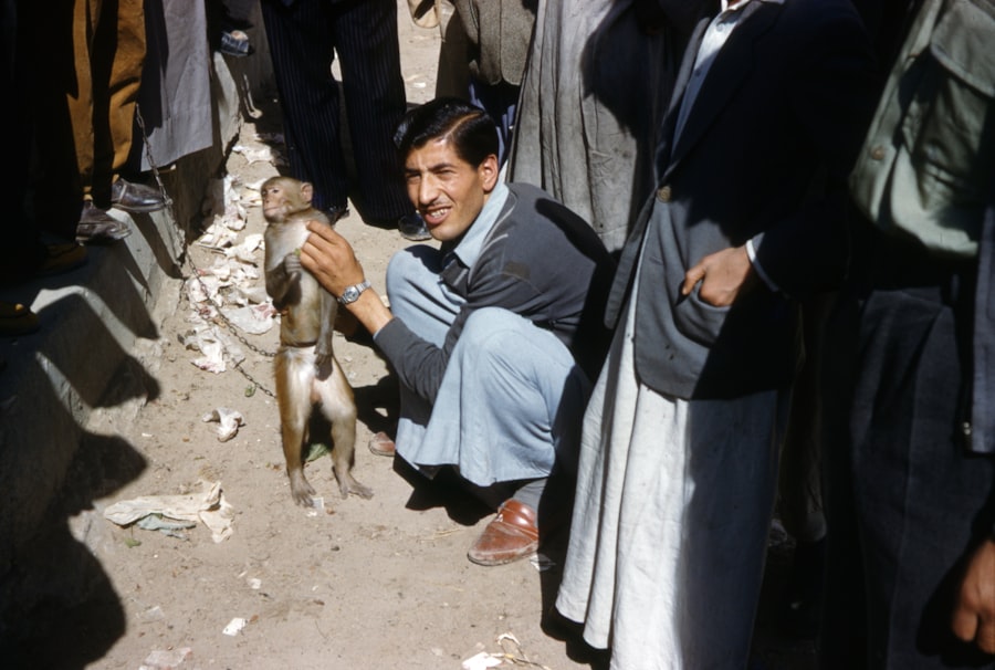 Photo saddam hussein second in command