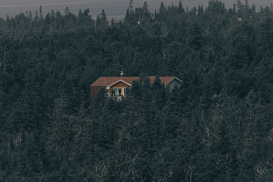 Photo saddam hussein