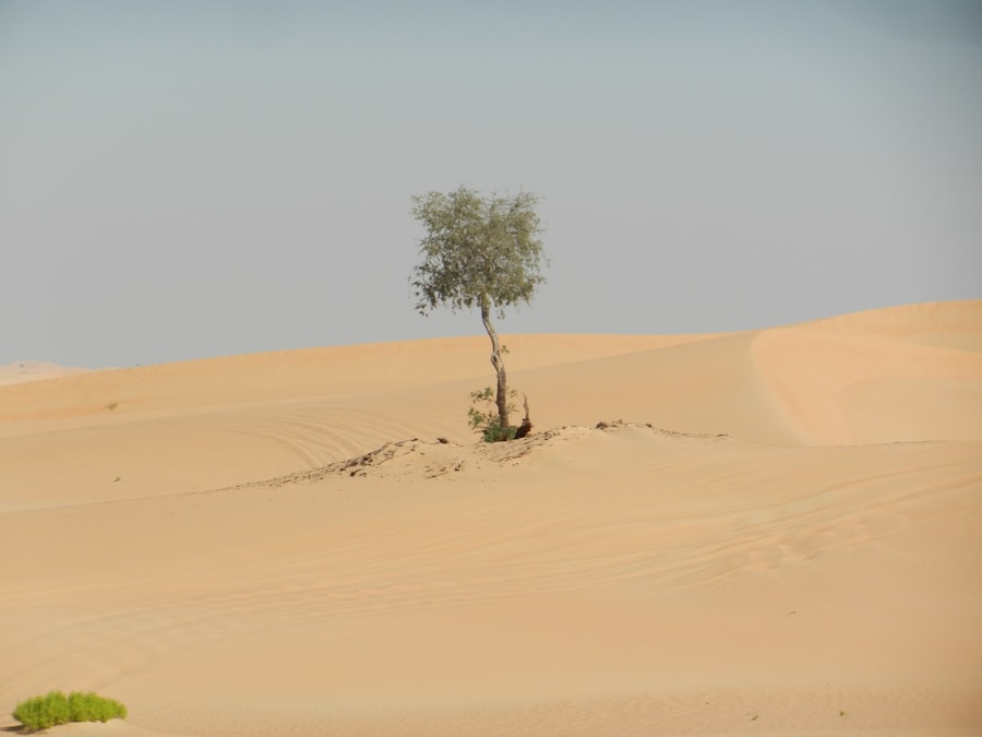 Photo saddam hussein capture