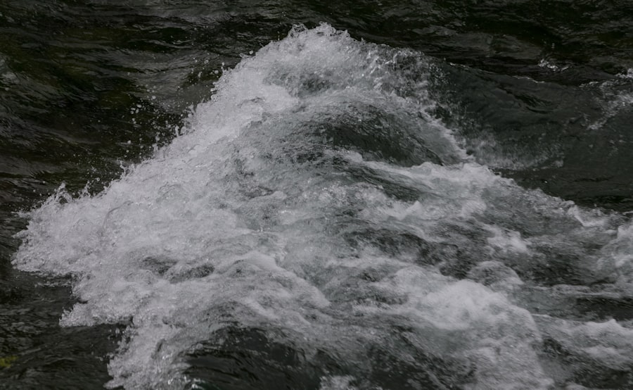 Photo saddam hussein execution stream