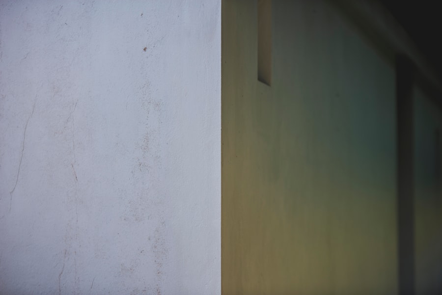 Photo saddam hussein