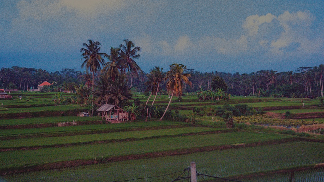 Photo saddam hussein capture image