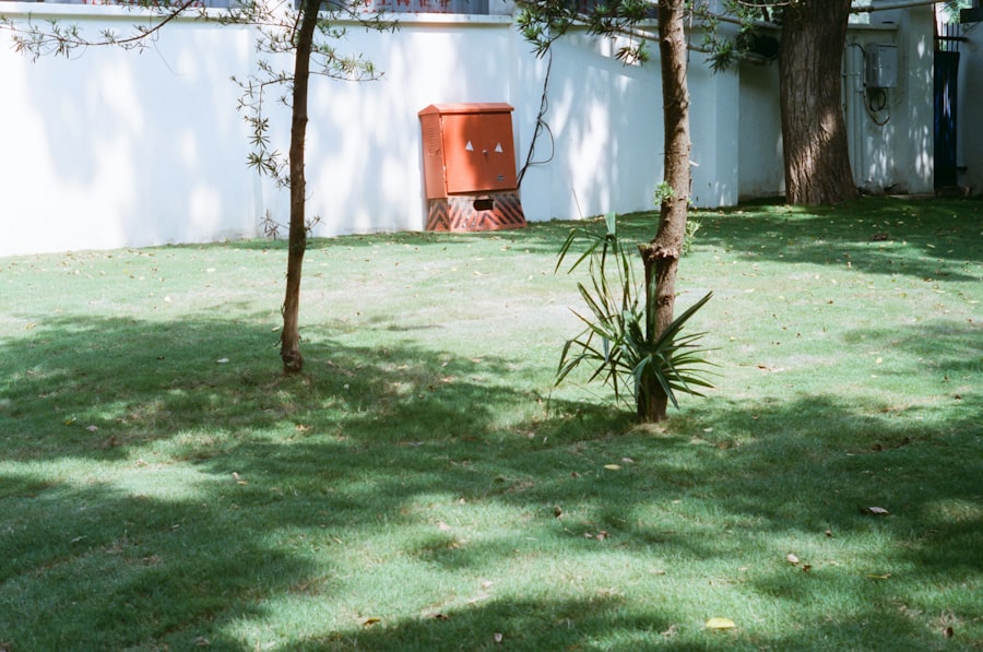 Photo saddam hussein capture image