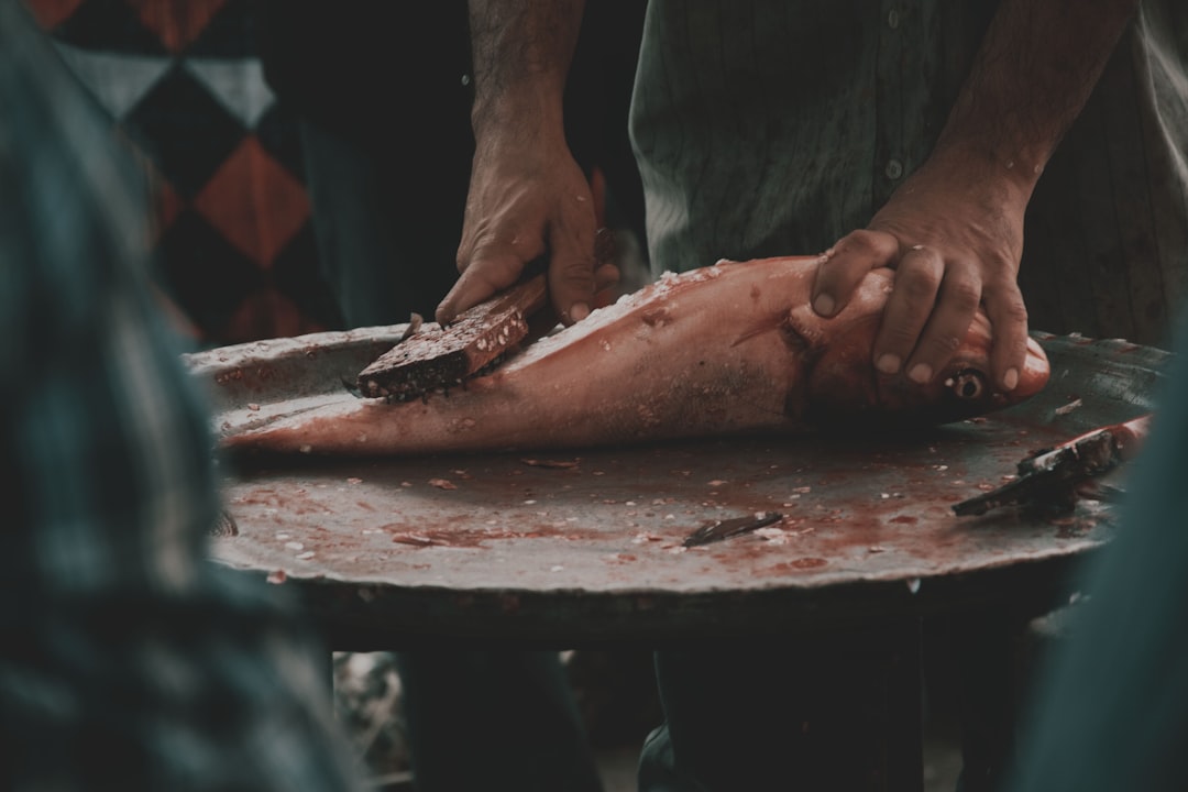 Photo saddam hussein execution