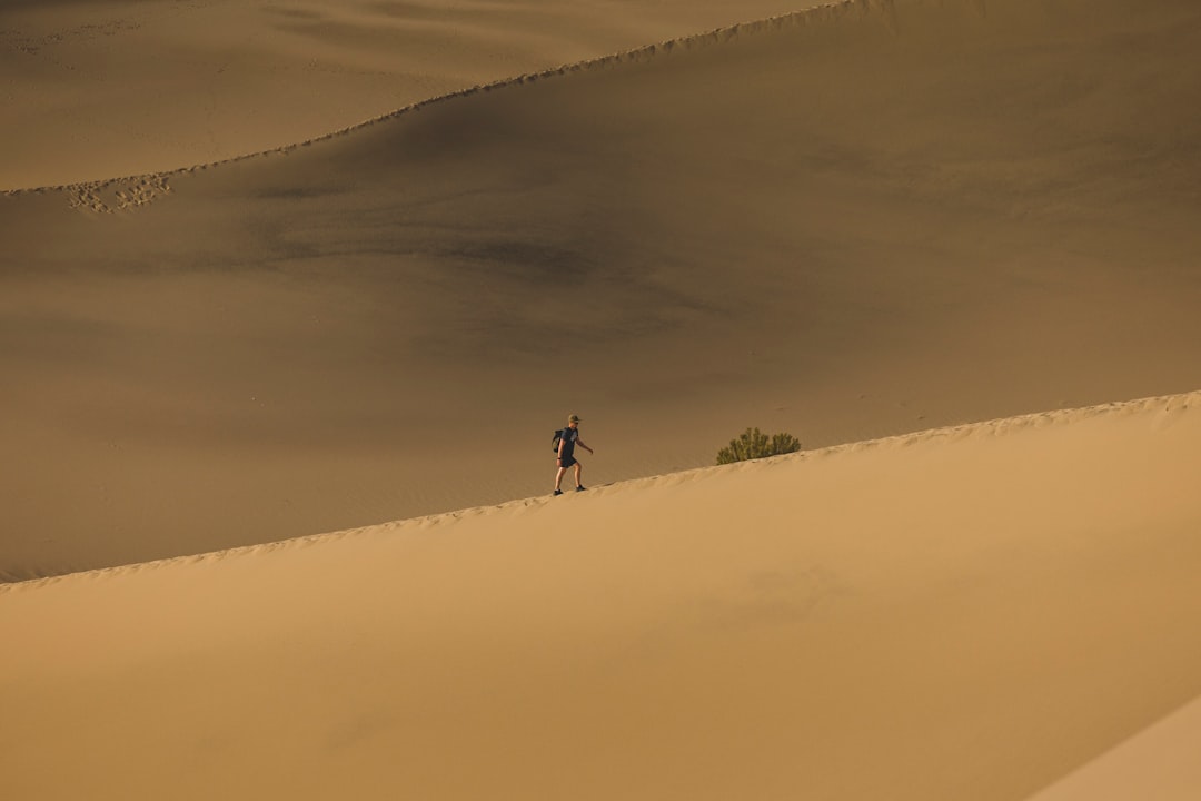 Photo capture Saddam Hussein