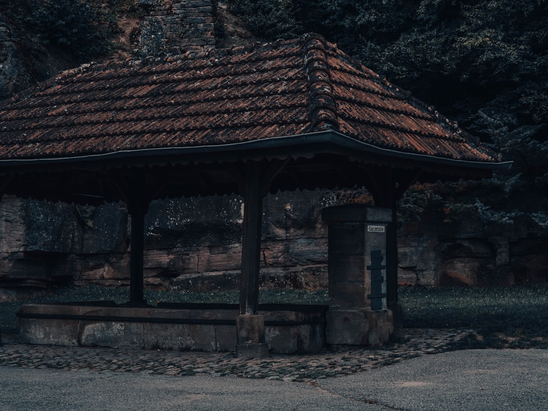 Photo saddam hussein