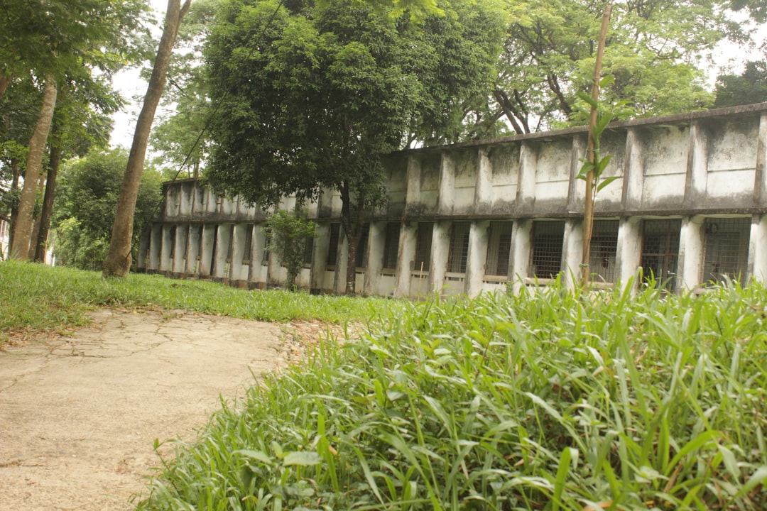 Photo saddam hussein execution location