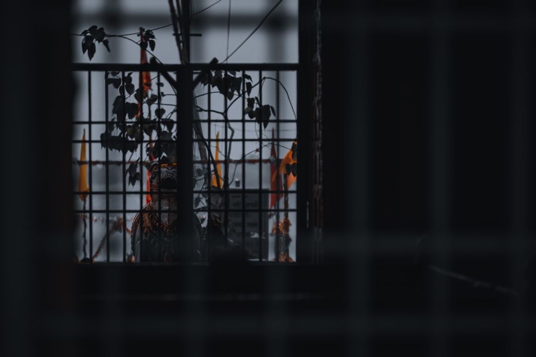 Photo saddam hussein execution documentary