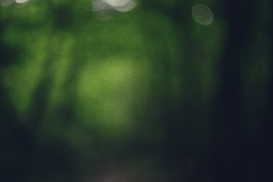 Photo saddam hussein capture pic