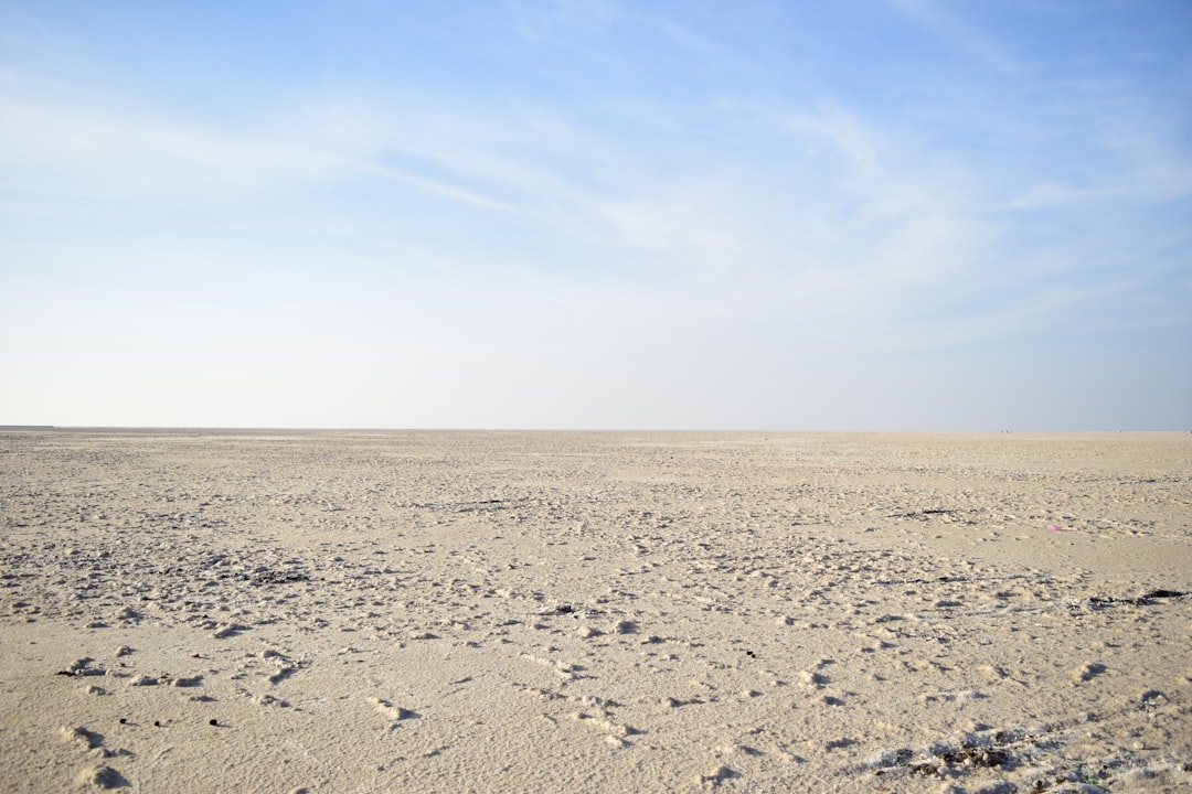 Photo saddam hussein capture president