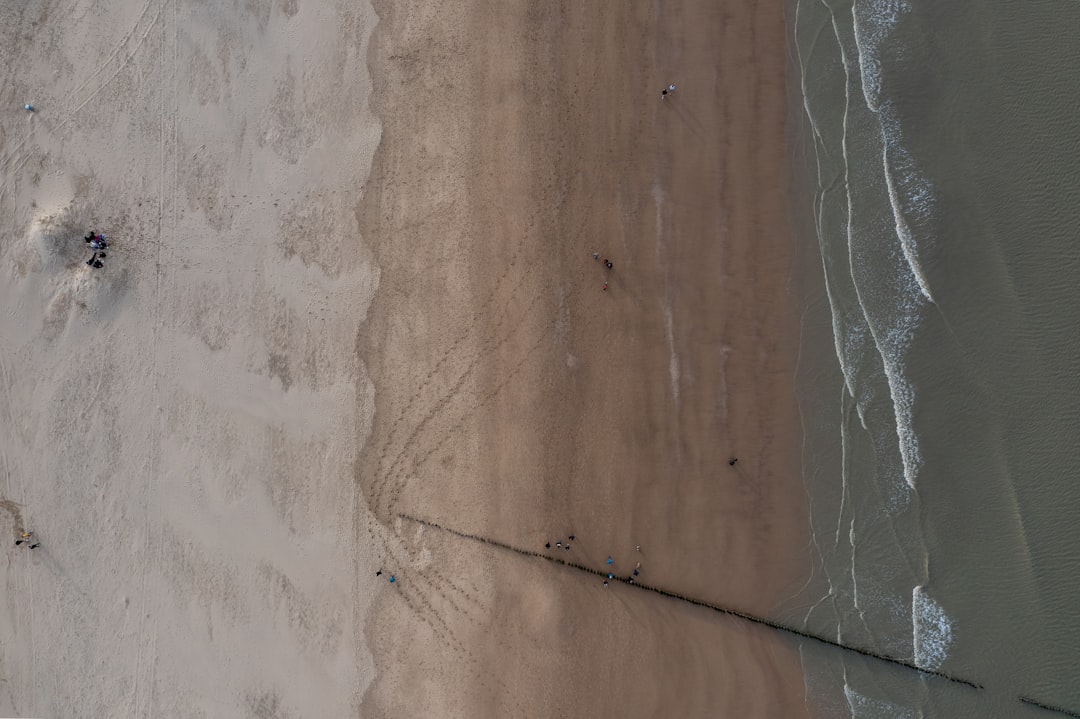 Photo Dunning-Kruger Effect