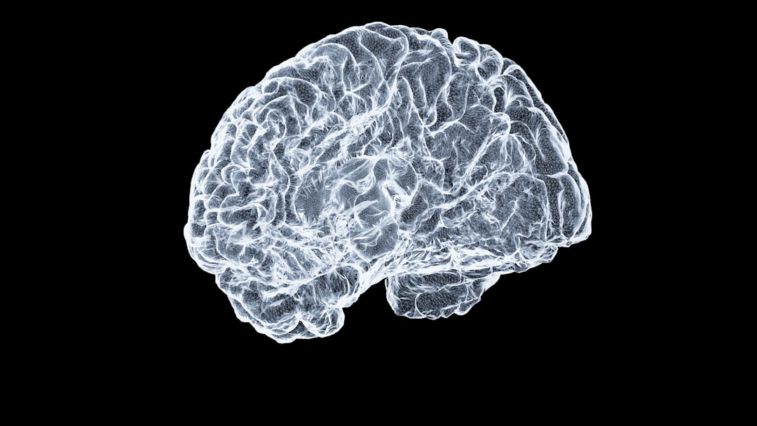 Photo Human Brain