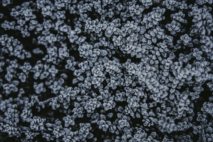 benzene contamination