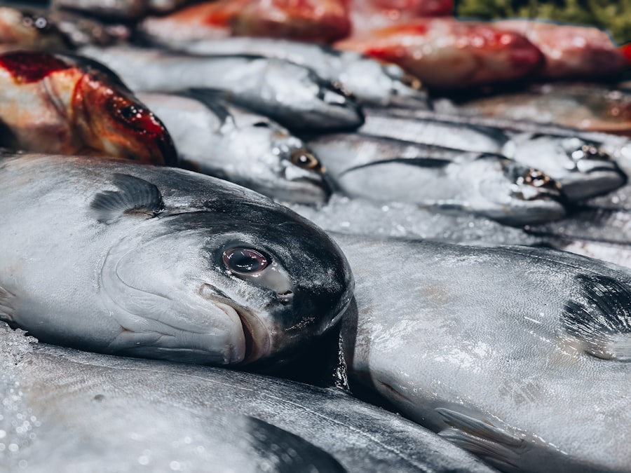 tuna industry scandal