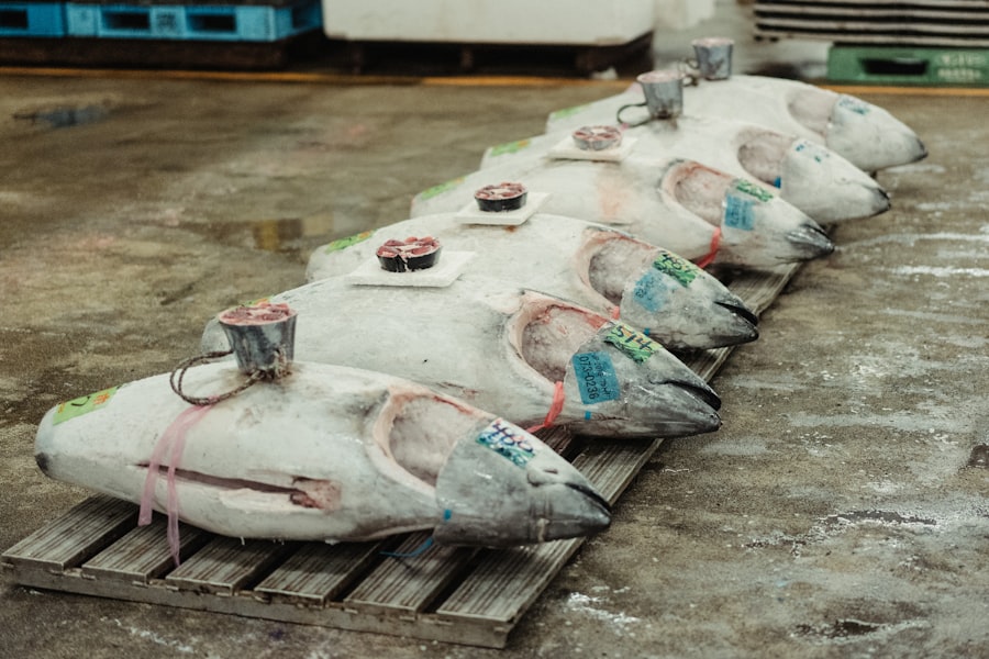 tuna industry secret