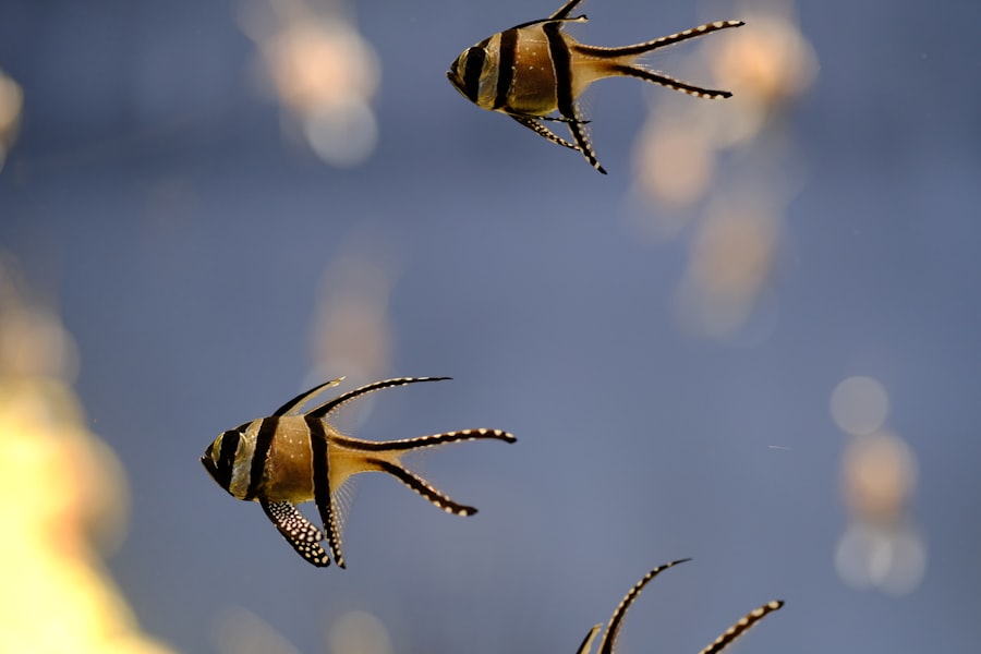 bumble bee tuna scandal